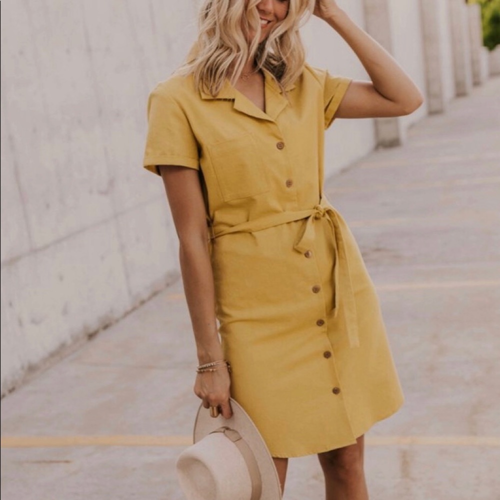 NWT Cashel Button Dress